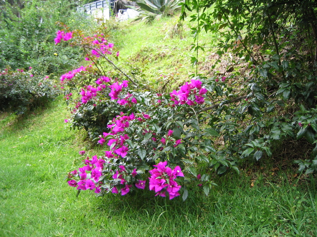 img_1854.jpg