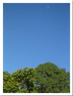 img_1827.html