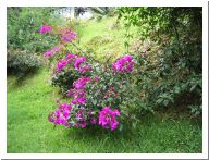 img_1854.html