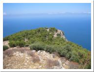 pellegrino_01.html