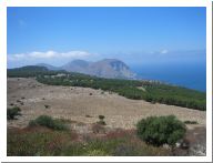 pellegrino_02.html