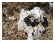 pellegrino_09.html