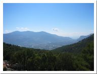 pellegrino_11.html