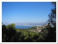 pellegrino_17.html