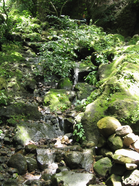 tepoztlan_03.jpg
