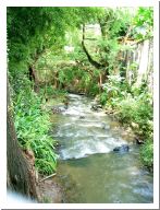 tepoztlan_01.html