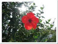 ustica_08.html