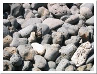 ustica_19.html