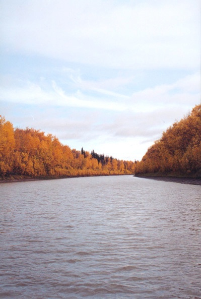 mainslough.jpg
