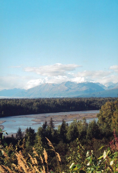 mckinley01.jpg