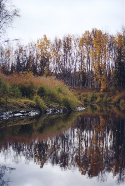 rubyslough.jpg